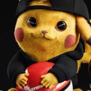 Meet your Posher, Anderson